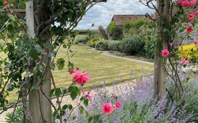 Spring in the English Garden: Essential Tasks to Start the Season
