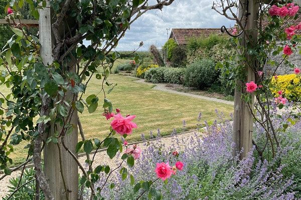 Spring in the English Garden: Essential Tasks to Start the Season