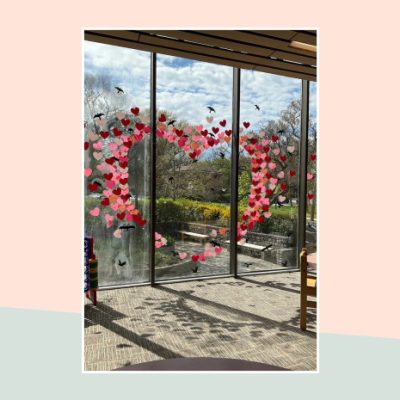 Life or career coaching session ( 1 hour)