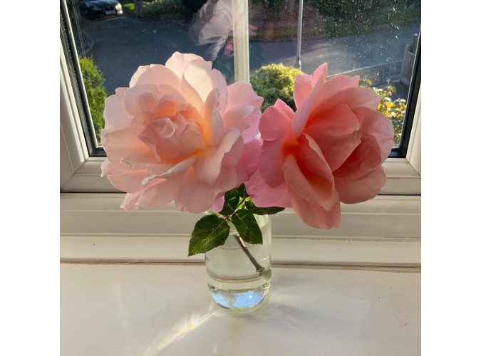 For the Love of flowers