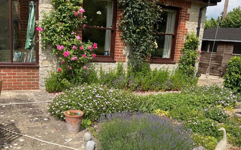What would you like your gardener does this week?