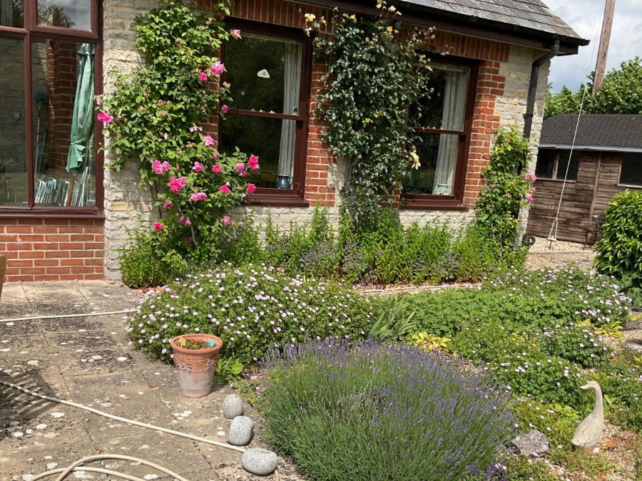 What would you like your gardener does this week?