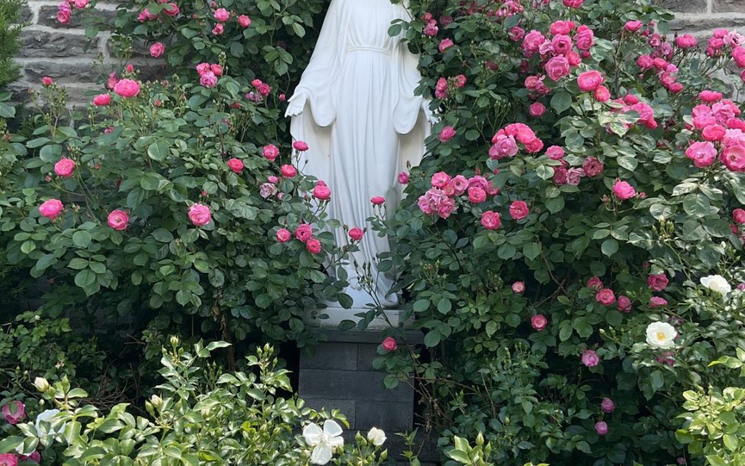 Seeking Guidance