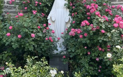 Seeking Guidance